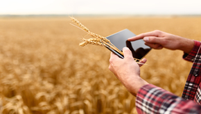 Agriculture apps to improve employee collaboration and productivity